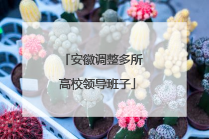 安徽调整多所高校领导班子