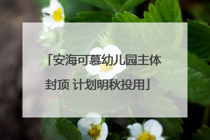 安海可慕幼儿园主体封顶 计划明秋投用