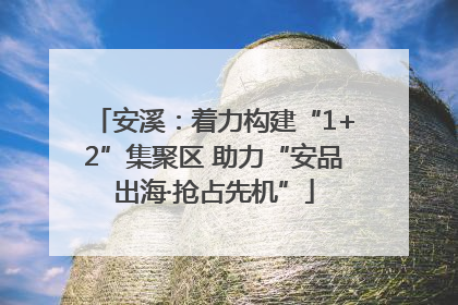 安溪：着力构建“1+2”集聚区 助力“安品出海·抢占先机”