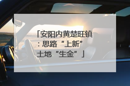安阳内黄楚旺镇：思路“上新” 土地“生金”