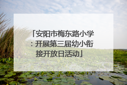 安阳市梅东路小学：开展第三届幼小衔接开放日活动
