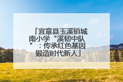 宜章县玉溪镇城南小学“溪韧中队”：传承红色基因 锻造时代新人