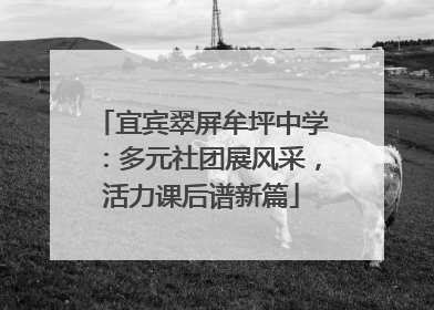 宜宾翠屏牟坪中学：多元社团展风采，活力课后谱新篇