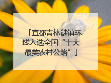 宜都青林谜镇环线入选全国“十大最美农村公路”