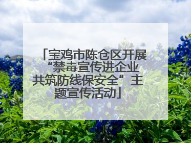 宝鸡市陈仓区开展“禁毒宣传进企业 共筑防线保安全”主题宣传活动