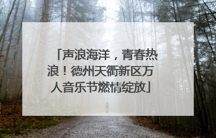 声浪海洋，青春热浪！德州天衢新区万人音乐节燃情绽放