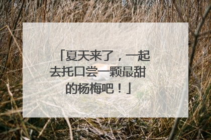 夏天来了，一起去托口尝一颗最甜的杨梅吧！