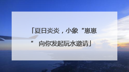 夏日炎炎，小象“崽崽” 向你发起玩水邀请