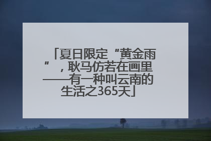 夏日限定“黄金雨”，耿马仿若在画里——有一种叫云南的生活之365天