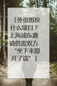 外资想投什么项目？上海浦东邀请供需双方“坐下来掰开了谈”