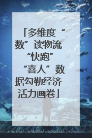 多维度“数”读物流“快跑” “喜人”数据勾勒经济活力画卷