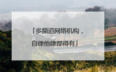 多频道网络机构，自律他律都得有