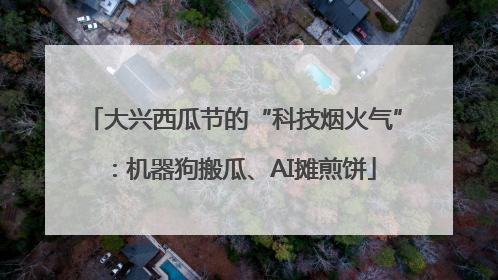 大兴西瓜节的“科技烟火气”：机器狗搬瓜、AI摊煎饼