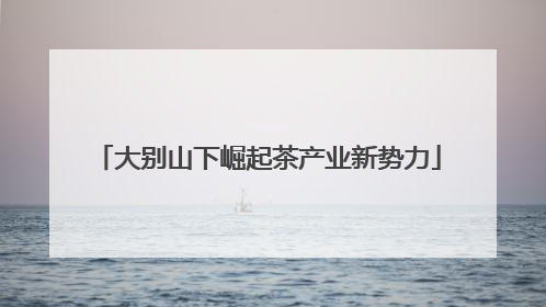 大别山下崛起茶产业新势力