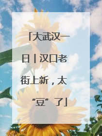 大武汉一日︱汉口老街上新，太“豆”了