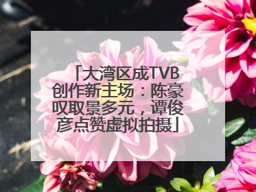 大湾区成TVB创作新主场：陈豪叹取景多元，谭俊彦点赞虚拟拍摄