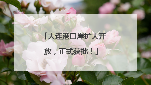 大连港口岸扩大开放，正式获批！