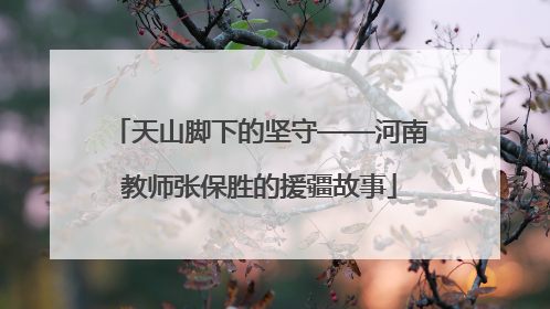天山脚下的坚守——河南教师张保胜的援疆故事