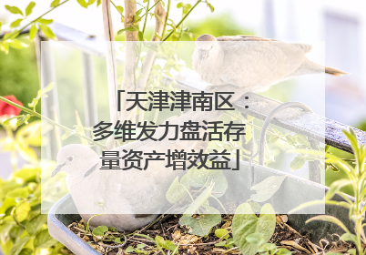 天津津南区：多维发力盘活存量资产增效益