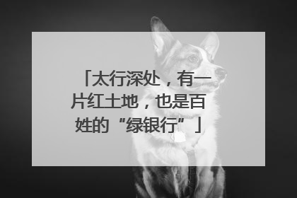 太行深处，有一片红土地，也是百姓的“绿银行”