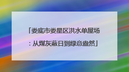 娄底市娄星区洪水单屋场：从煤灰蔽日到绿意盎然