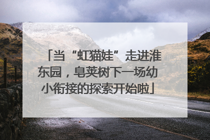 当“虹猫娃”走进淮东园，皂荚树下一场幼小衔接的探索开始啦