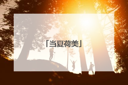 当夏荷美