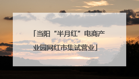 当阳“半月红”电商产业园网红市集试营业