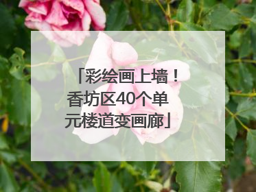 彩绘画上墙！香坊区40个单元楼道变画廊