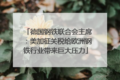德国钢铁联合会主席：美加征关税给欧洲钢铁行业带来巨大压力