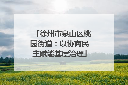 徐州市泉山区桃园街道：以协商民主赋能基层治理