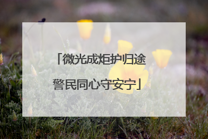 微光成炬护归途 警民同心守安宁