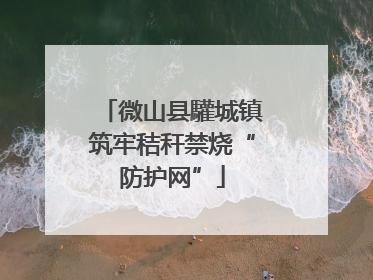 微山县驩城镇筑牢秸秆禁烧“防护网”
