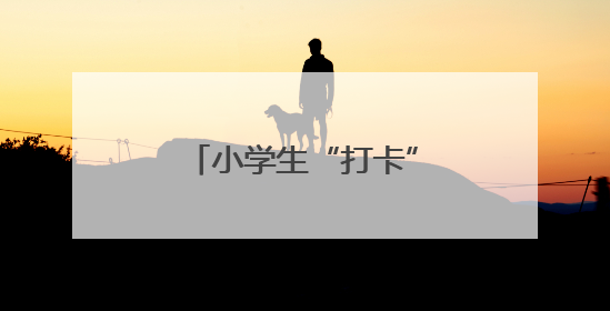 小学生“打卡”法院 沉浸式感受“法”在身边