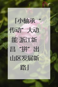 小轴承“传动”大动能 浙江新昌“拼”出山区发展新路