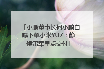 小鹏董事长何小鹏自曝下单小米YU7：静候雷军早点交付