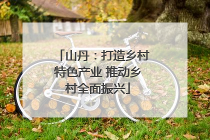 山丹：打造乡村特色产业 推动乡村全面振兴