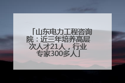 山东电力工程咨询院：近三年培养高层次人才21人，行业专家300多人