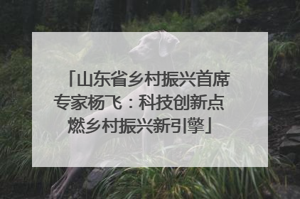 山东省乡村振兴首席专家杨飞：科技创新点燃乡村振兴新引擎