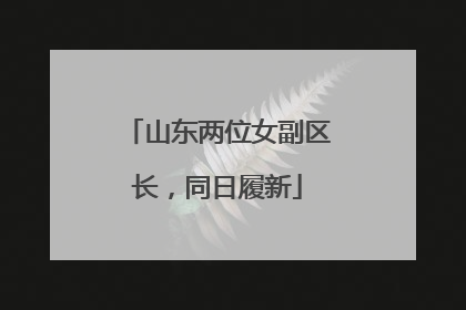 山东两位女副区长，同日履新