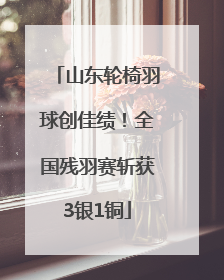 山东轮椅羽球创佳绩！全国残羽赛斩获3银1铜