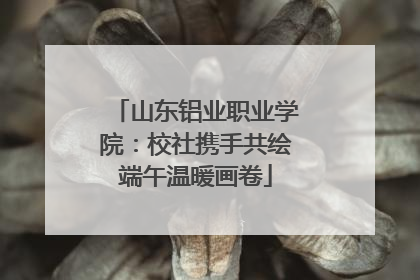 山东铝业职业学院：校社携手共绘端午温暖画卷