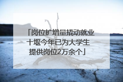 岗位扩增量撬动就业 十堰今年已为大学生提供岗位2万余个