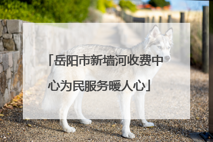 岳阳市新墙河收费中心为民服务暖人心
