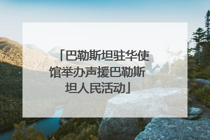 巴勒斯坦驻华使馆举办声援巴勒斯坦人民活动