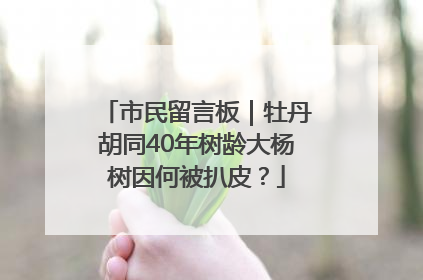 市民留言板｜牡丹胡同40年树龄大杨树因何被扒皮？