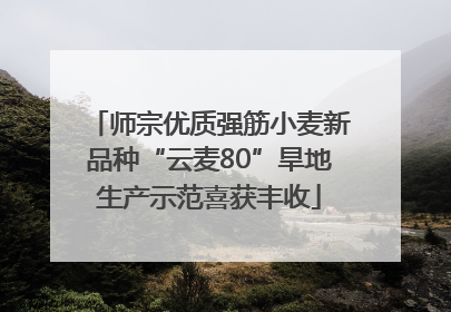 师宗优质强筋小麦新品种“云麦80”旱地生产示范喜获丰收