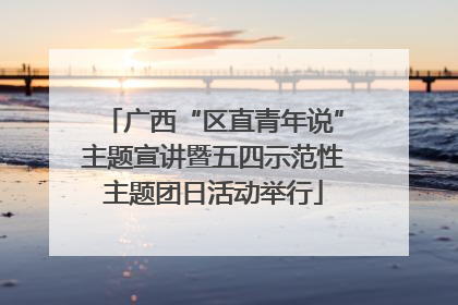 广西“区直青年说”主题宣讲暨五四示范性主题团日活动举行