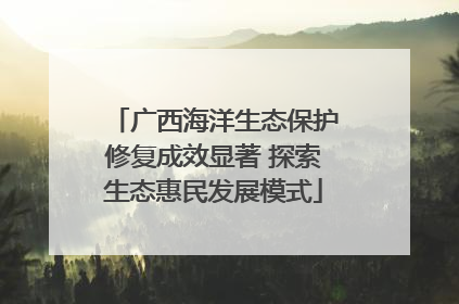 广西海洋生态保护修复成效显著 探索生态惠民发展模式