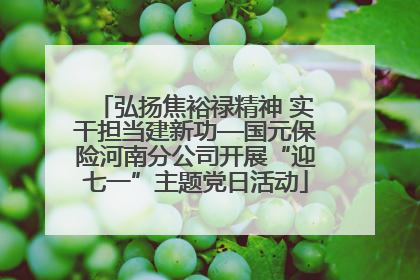 弘扬焦裕禄精神 实干担当建新功—国元保险河南分公司开展“迎七一”主题党日活动